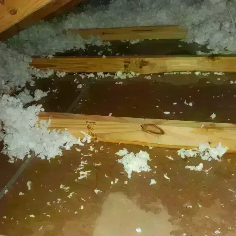 Attic Water Damage in Port Gibson, MS